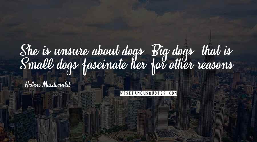 Helen Macdonald Quotes: She is unsure about dogs. Big dogs, that is. Small dogs fascinate her for other reasons.