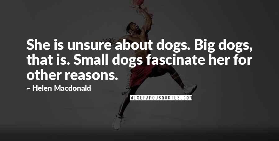 Helen Macdonald Quotes: She is unsure about dogs. Big dogs, that is. Small dogs fascinate her for other reasons.