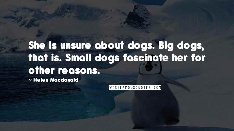 Helen Macdonald Quotes: She is unsure about dogs. Big dogs, that is. Small dogs fascinate her for other reasons.