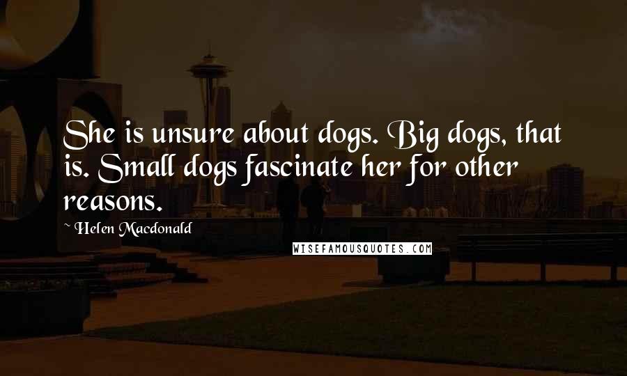 Helen Macdonald Quotes: She is unsure about dogs. Big dogs, that is. Small dogs fascinate her for other reasons.