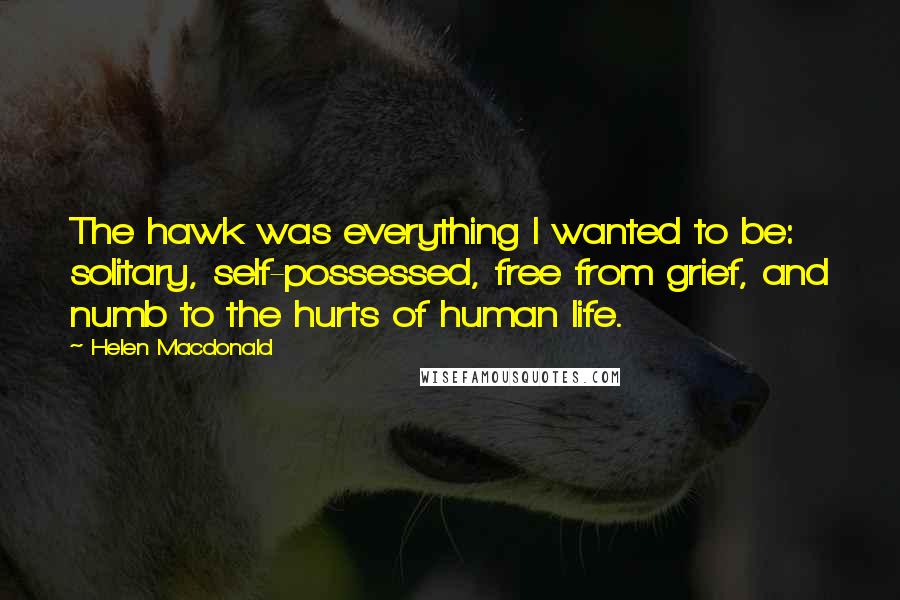 Helen Macdonald Quotes: The hawk was everything I wanted to be: solitary, self-possessed, free from grief, and numb to the hurts of human life.