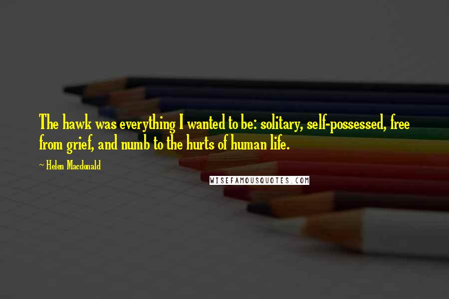 Helen Macdonald Quotes: The hawk was everything I wanted to be: solitary, self-possessed, free from grief, and numb to the hurts of human life.