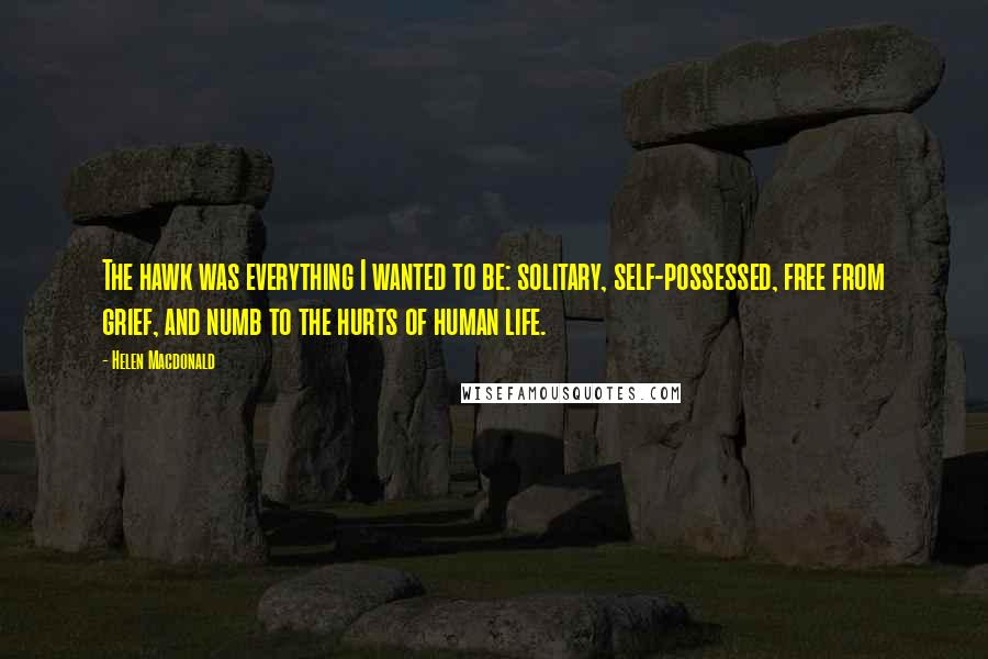 Helen Macdonald Quotes: The hawk was everything I wanted to be: solitary, self-possessed, free from grief, and numb to the hurts of human life.