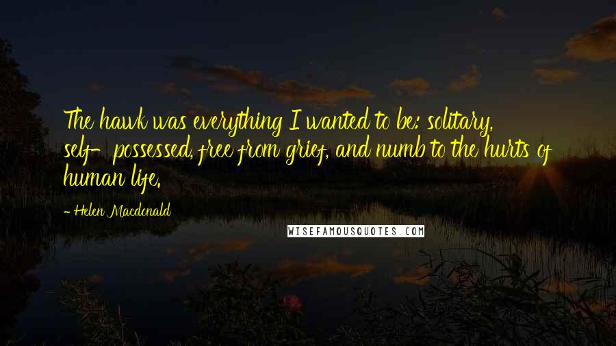 Helen Macdonald Quotes: The hawk was everything I wanted to be: solitary, self-possessed, free from grief, and numb to the hurts of human life.