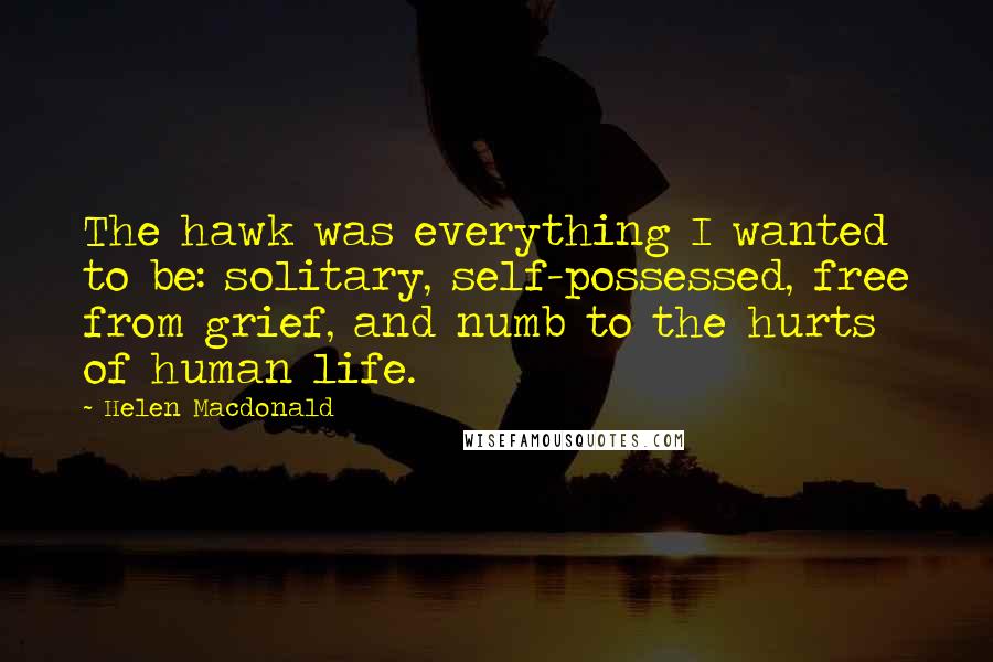 Helen Macdonald Quotes: The hawk was everything I wanted to be: solitary, self-possessed, free from grief, and numb to the hurts of human life.