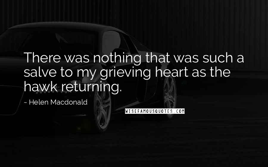 Helen Macdonald Quotes: There was nothing that was such a salve to my grieving heart as the hawk returning.