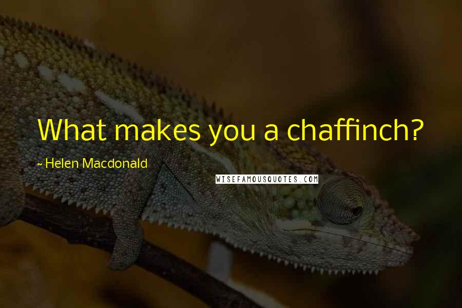 Helen Macdonald Quotes: What makes you a chaffinch?