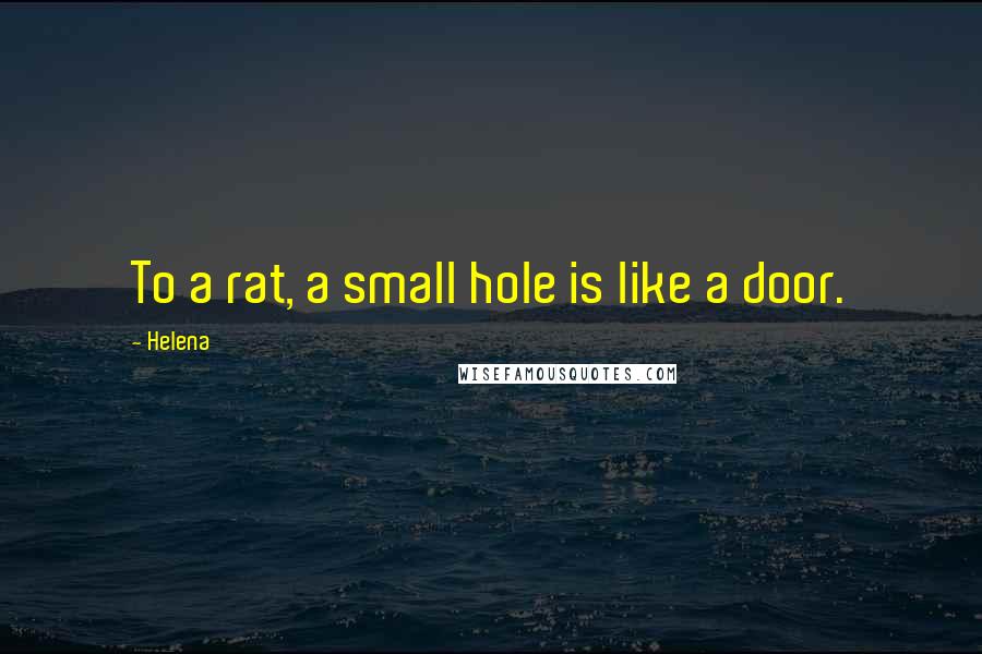 Helena Quotes: To a rat, a small hole is like a door.