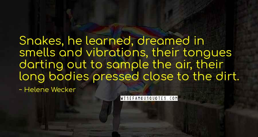 Helene Wecker Quotes: Snakes, he learned, dreamed in smells and vibrations, their tongues darting out to sample the air, their long bodies pressed close to the dirt.