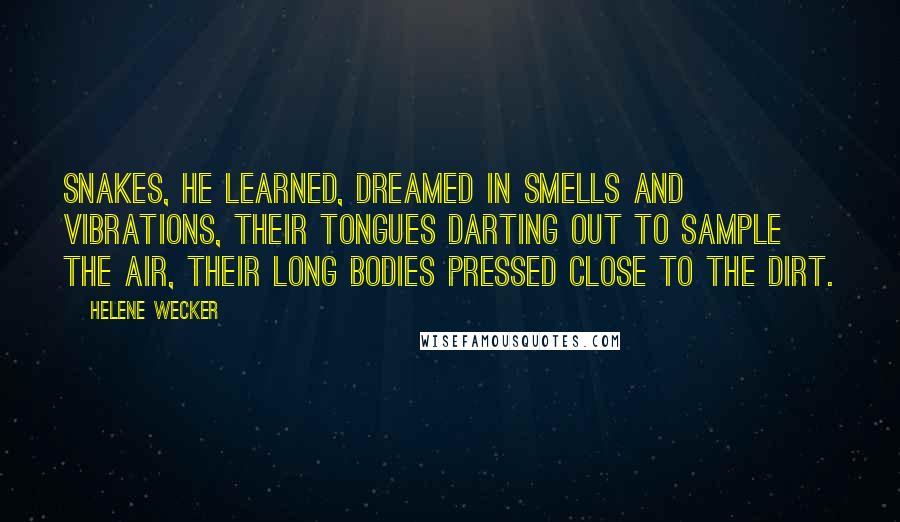 Helene Wecker Quotes: Snakes, he learned, dreamed in smells and vibrations, their tongues darting out to sample the air, their long bodies pressed close to the dirt.