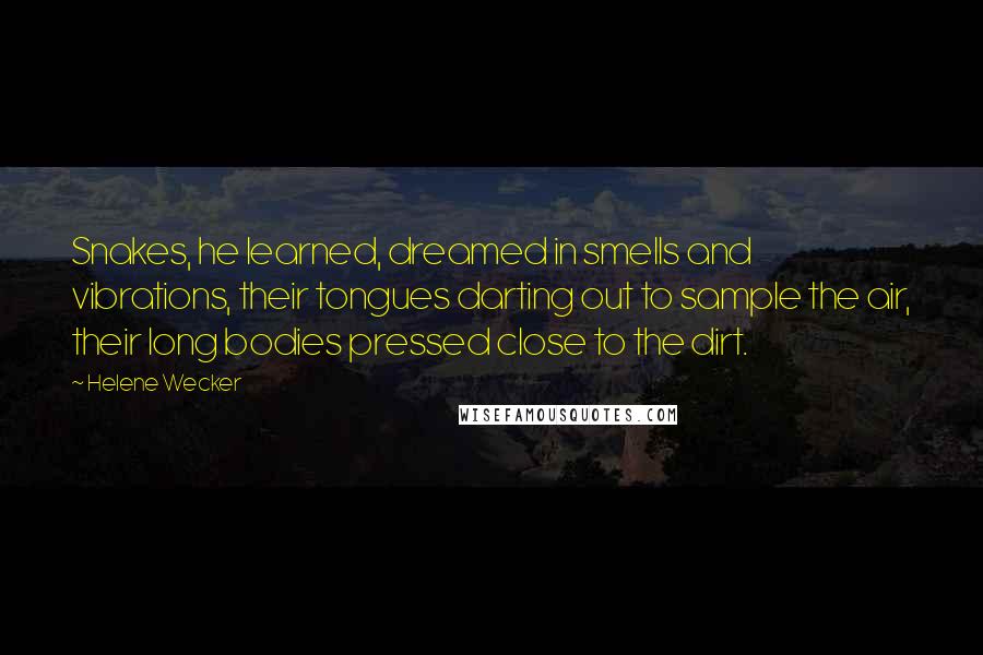 Helene Wecker Quotes: Snakes, he learned, dreamed in smells and vibrations, their tongues darting out to sample the air, their long bodies pressed close to the dirt.