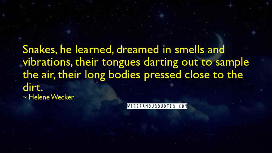 Helene Wecker Quotes: Snakes, he learned, dreamed in smells and vibrations, their tongues darting out to sample the air, their long bodies pressed close to the dirt.