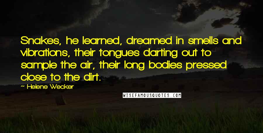 Helene Wecker Quotes: Snakes, he learned, dreamed in smells and vibrations, their tongues darting out to sample the air, their long bodies pressed close to the dirt.