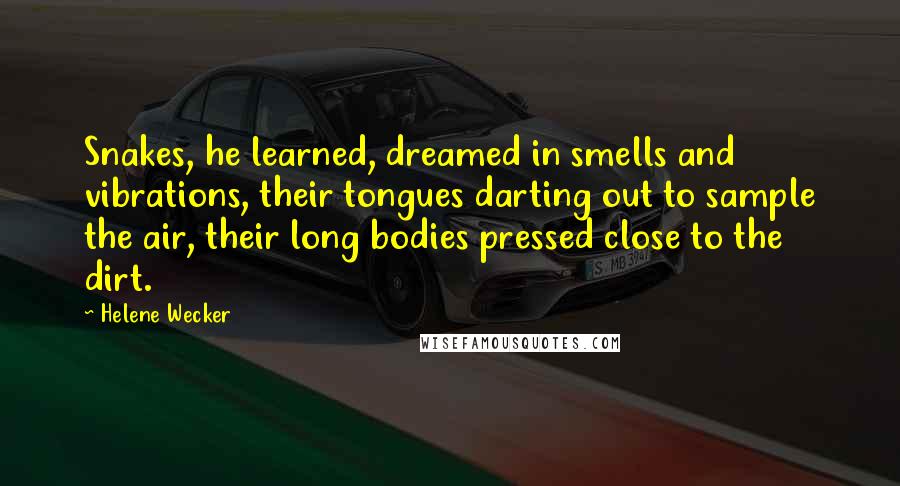 Helene Wecker Quotes: Snakes, he learned, dreamed in smells and vibrations, their tongues darting out to sample the air, their long bodies pressed close to the dirt.
