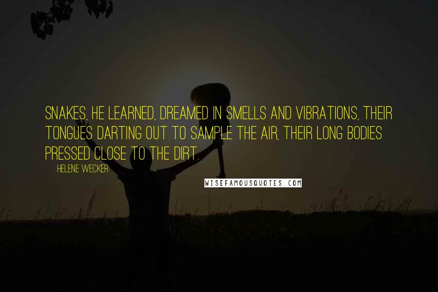 Helene Wecker Quotes: Snakes, he learned, dreamed in smells and vibrations, their tongues darting out to sample the air, their long bodies pressed close to the dirt.