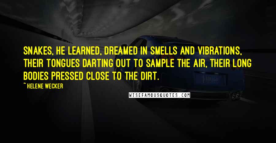 Helene Wecker Quotes: Snakes, he learned, dreamed in smells and vibrations, their tongues darting out to sample the air, their long bodies pressed close to the dirt.