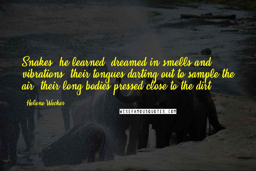 Helene Wecker Quotes: Snakes, he learned, dreamed in smells and vibrations, their tongues darting out to sample the air, their long bodies pressed close to the dirt.