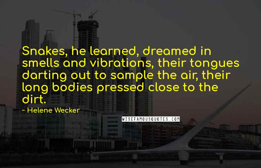 Helene Wecker Quotes: Snakes, he learned, dreamed in smells and vibrations, their tongues darting out to sample the air, their long bodies pressed close to the dirt.