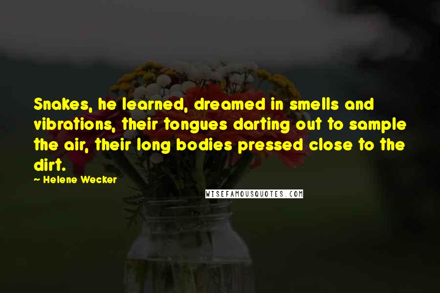 Helene Wecker Quotes: Snakes, he learned, dreamed in smells and vibrations, their tongues darting out to sample the air, their long bodies pressed close to the dirt.