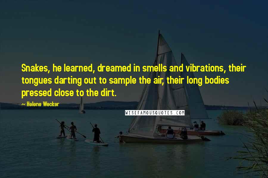 Helene Wecker Quotes: Snakes, he learned, dreamed in smells and vibrations, their tongues darting out to sample the air, their long bodies pressed close to the dirt.