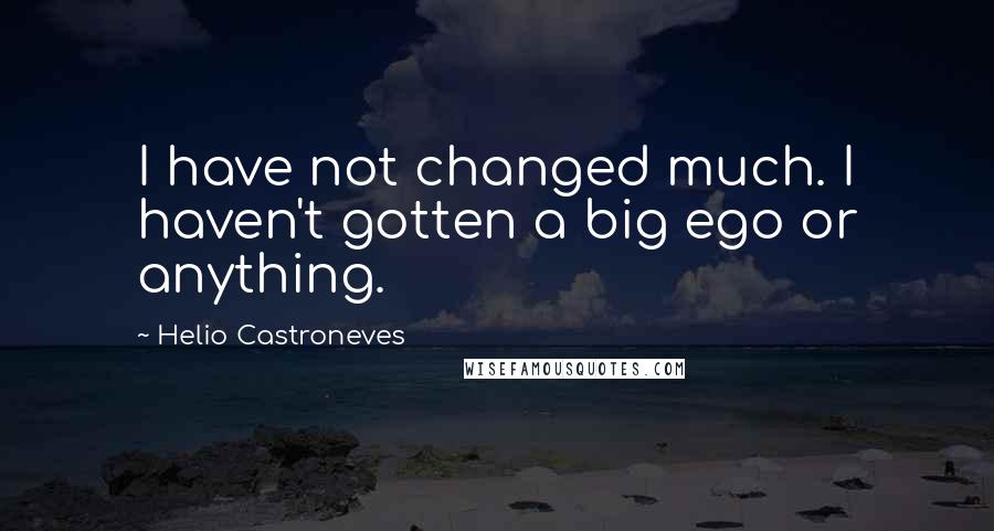 Helio Castroneves Quotes: I have not changed much. I haven't gotten a big ego or anything.