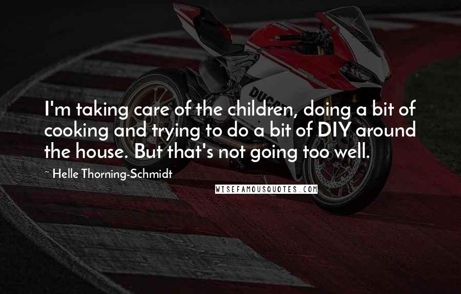 Helle Thorning-Schmidt Quotes: I'm taking care of the children, doing a bit of cooking and trying to do a bit of DIY around the house. But that's not going too well.