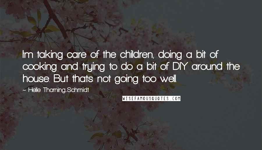 Helle Thorning-Schmidt Quotes: I'm taking care of the children, doing a bit of cooking and trying to do a bit of DIY around the house. But that's not going too well.