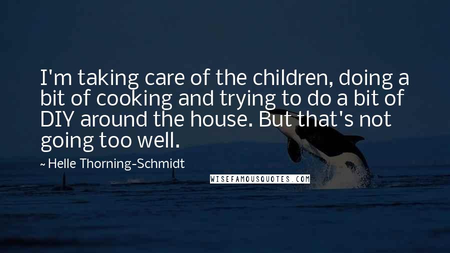 Helle Thorning-Schmidt Quotes: I'm taking care of the children, doing a bit of cooking and trying to do a bit of DIY around the house. But that's not going too well.