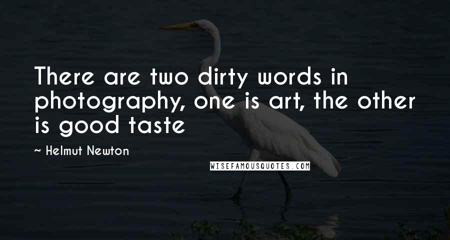 Helmut Newton Quotes: There are two dirty words in photography, one is art, the other is good taste