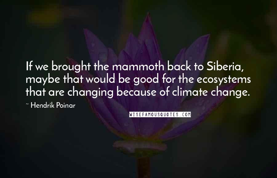 Hendrik Poinar Quotes: If we brought the mammoth back to Siberia, maybe that would be good for the ecosystems that are changing because of climate change.