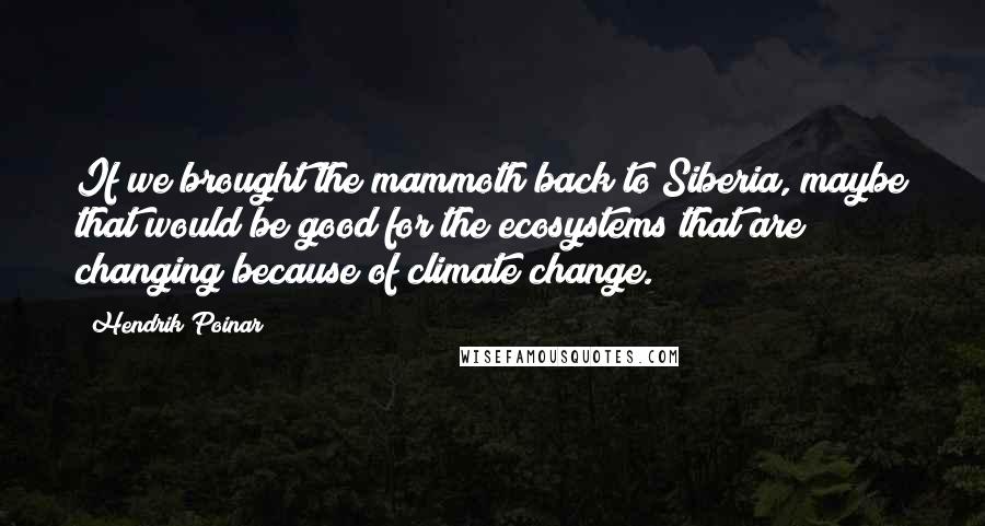 Hendrik Poinar Quotes: If we brought the mammoth back to Siberia, maybe that would be good for the ecosystems that are changing because of climate change.