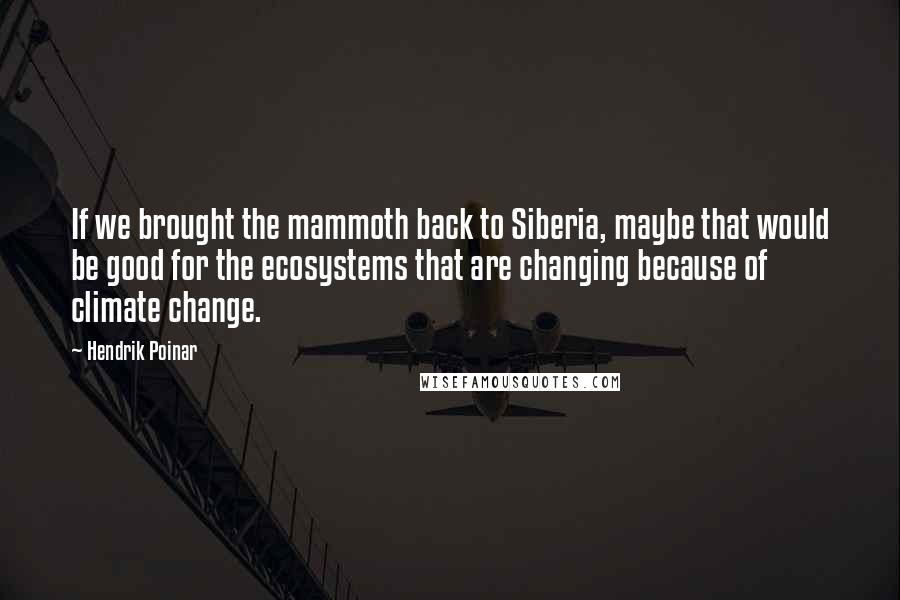 Hendrik Poinar Quotes: If we brought the mammoth back to Siberia, maybe that would be good for the ecosystems that are changing because of climate change.