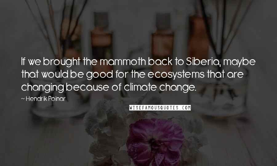 Hendrik Poinar Quotes: If we brought the mammoth back to Siberia, maybe that would be good for the ecosystems that are changing because of climate change.