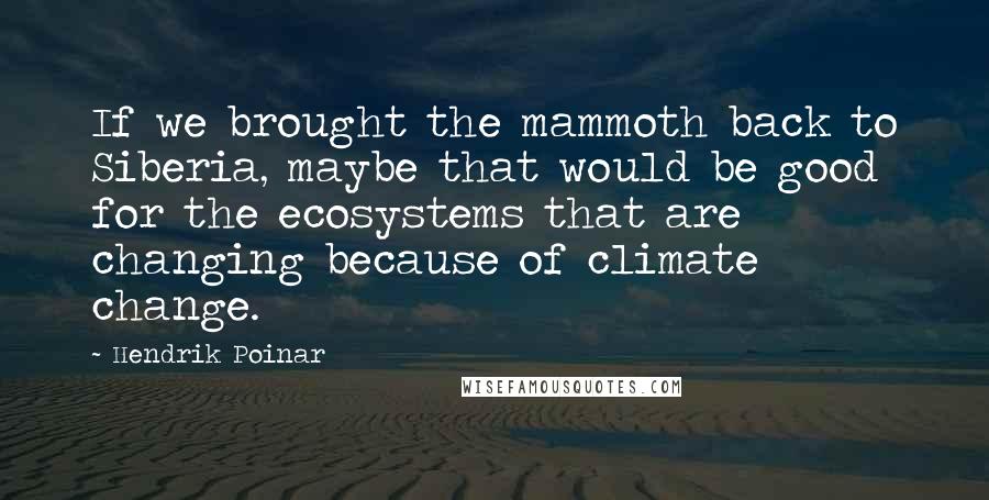 Hendrik Poinar Quotes: If we brought the mammoth back to Siberia, maybe that would be good for the ecosystems that are changing because of climate change.
