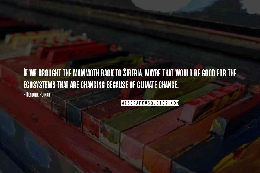 Hendrik Poinar Quotes: If we brought the mammoth back to Siberia, maybe that would be good for the ecosystems that are changing because of climate change.