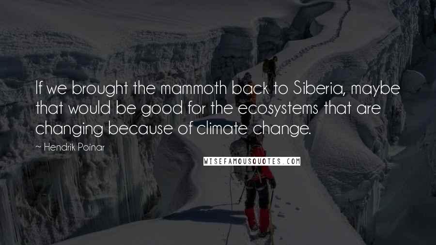 Hendrik Poinar Quotes: If we brought the mammoth back to Siberia, maybe that would be good for the ecosystems that are changing because of climate change.
