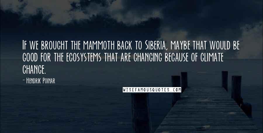 Hendrik Poinar Quotes: If we brought the mammoth back to Siberia, maybe that would be good for the ecosystems that are changing because of climate change.