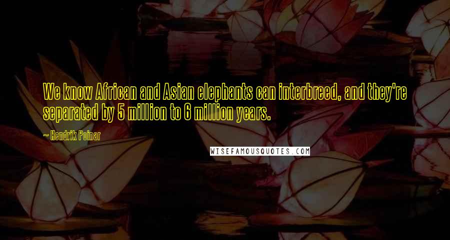 Hendrik Poinar Quotes: We know African and Asian elephants can interbreed, and they're separated by 5 million to 6 million years.