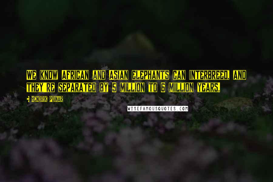 Hendrik Poinar Quotes: We know African and Asian elephants can interbreed, and they're separated by 5 million to 6 million years.