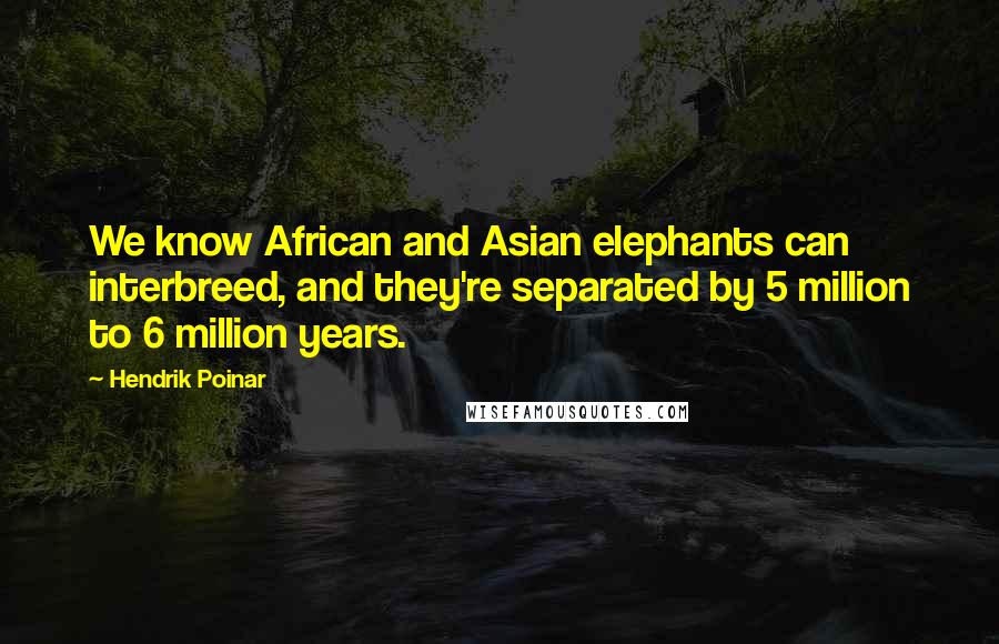 Hendrik Poinar Quotes: We know African and Asian elephants can interbreed, and they're separated by 5 million to 6 million years.