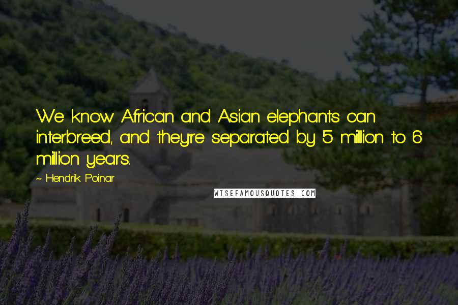 Hendrik Poinar Quotes: We know African and Asian elephants can interbreed, and they're separated by 5 million to 6 million years.