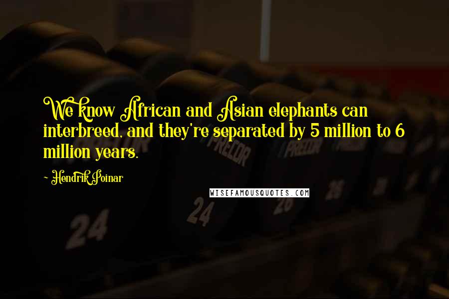 Hendrik Poinar Quotes: We know African and Asian elephants can interbreed, and they're separated by 5 million to 6 million years.
