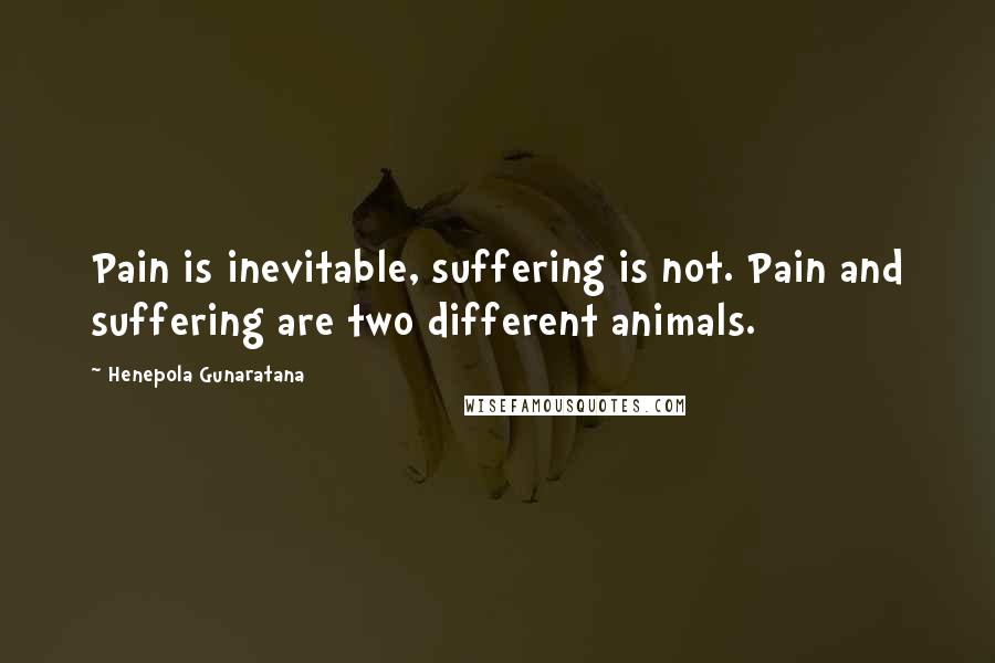 Henepola Gunaratana Quotes: Pain is inevitable, suffering is not. Pain and suffering are two different animals.