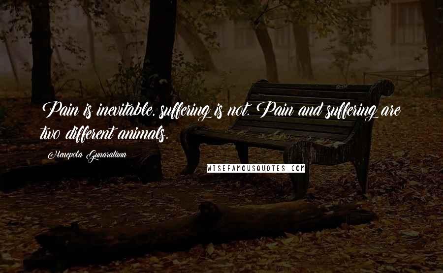 Henepola Gunaratana Quotes: Pain is inevitable, suffering is not. Pain and suffering are two different animals.