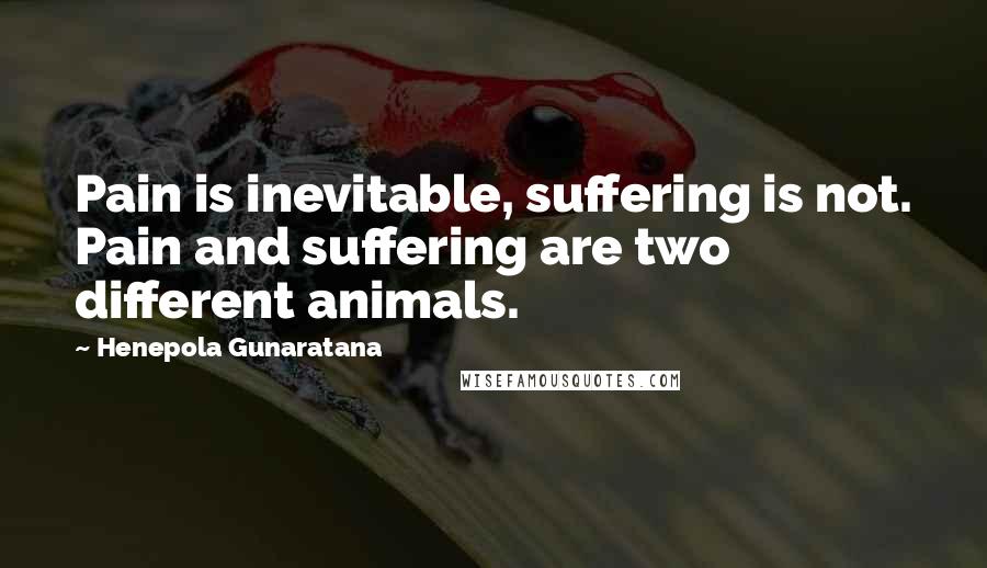 Henepola Gunaratana Quotes: Pain is inevitable, suffering is not. Pain and suffering are two different animals.