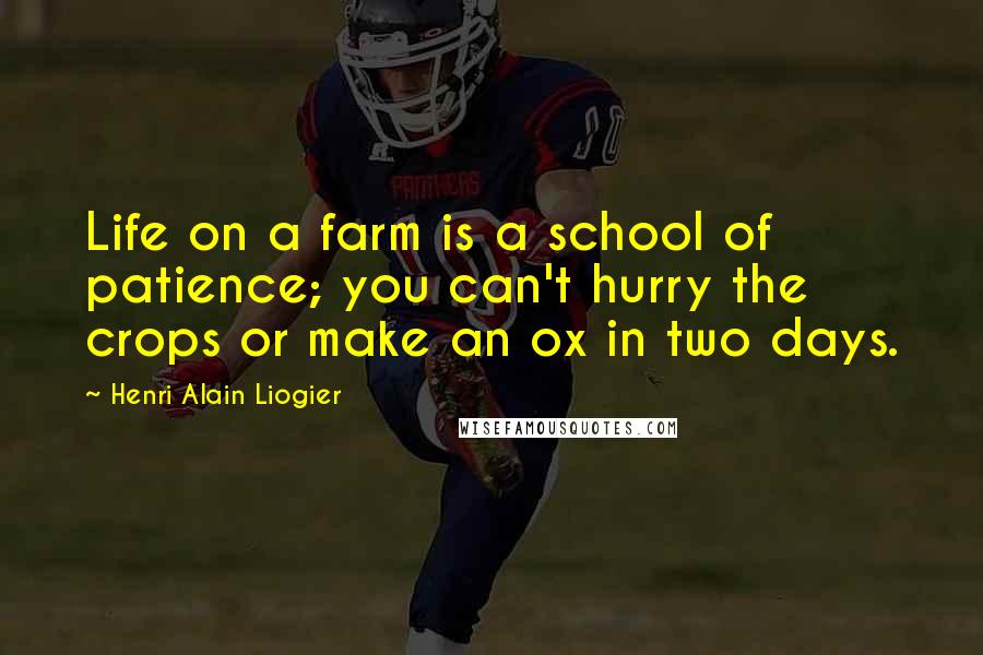 Henri Alain Liogier Quotes: Life on a farm is a school of patience; you can't hurry the crops or make an ox in two days.