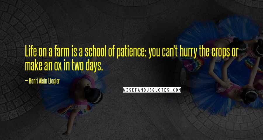 Henri Alain Liogier Quotes: Life on a farm is a school of patience; you can't hurry the crops or make an ox in two days.