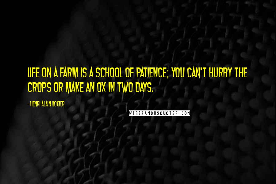 Henri Alain Liogier Quotes: Life on a farm is a school of patience; you can't hurry the crops or make an ox in two days.