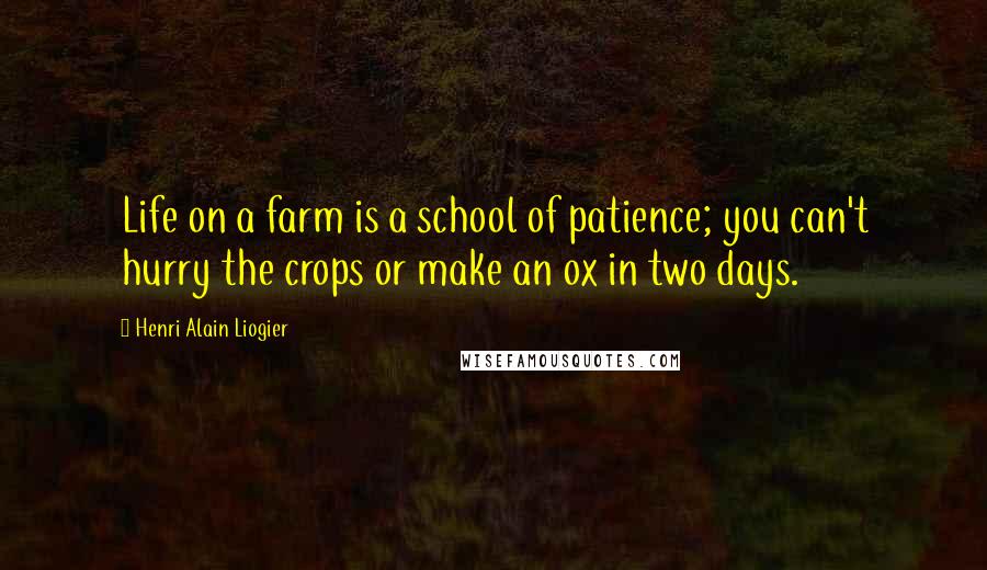 Henri Alain Liogier Quotes: Life on a farm is a school of patience; you can't hurry the crops or make an ox in two days.