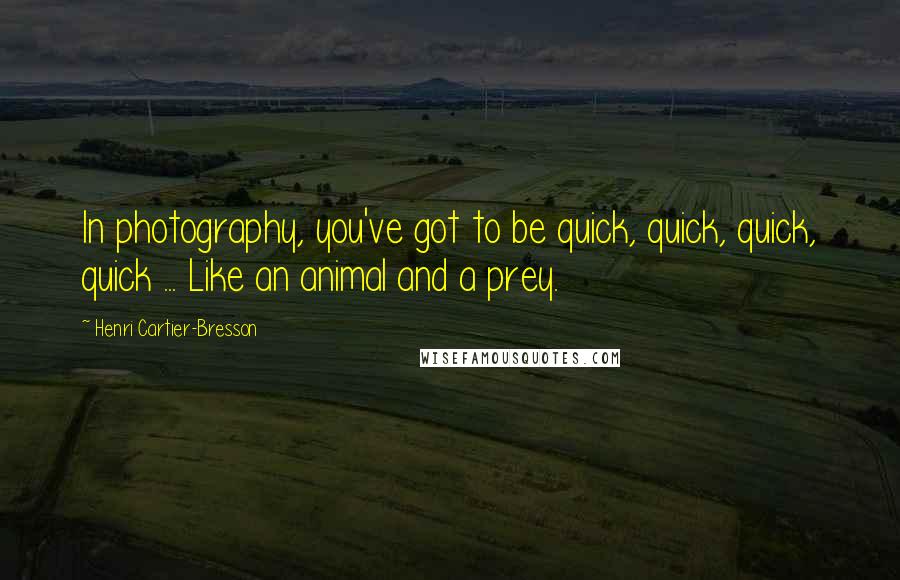 Henri Cartier-Bresson Quotes: In photography, you've got to be quick, quick, quick, quick ... Like an animal and a prey.